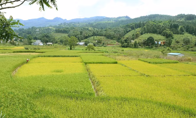 Góp ý dự thảo Luật Đất đai (sửa đổi): Tháo gỡ vướng mắc ở vùng đồng bào dân tộc thiểu số ảnh 1