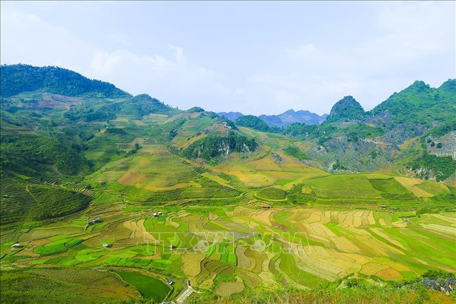 Những thửa ruộng bậc thang níu chân du khách. Ảnh: Phan Tuấn Anh - TTXVN Vẻ đẹp vùng cao Tây Bắc ảnh 10