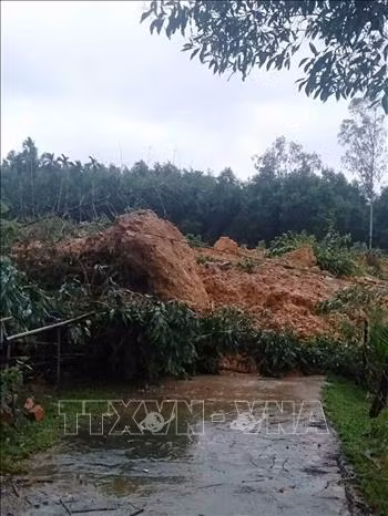 Lũ lớn tại Bình Định, hơn 16.500 căn nhà bị ngập, giao thông chia cắt ảnh 1