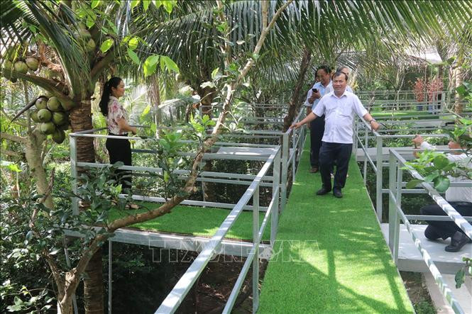 Khách tham quan điểm du lịch cộng đồng của gia đình ông Đoàn Văn Khanh, xã Song Thuận, huyện Châu Thành (Tiền Giang). Ảnh: Minh Trí-TTXVN Du lịch Nam Bộ chắt chiu từng cơ hội phục hồi (Bài 1) ảnh 1