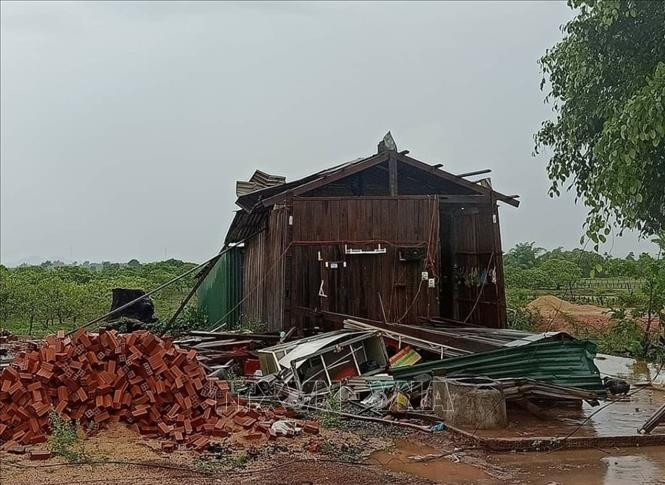Lốc xoáy làm 10 ngôi nhà của người dân bị ảnh hưởng trong đó 1 ngôi nhà bị đổ sập. Ảnh: TTXVN phát Huyện Ea Súp khẩn trương hỗ trợ người dân khắc phục hậu quả lốc xoáy ảnh 3