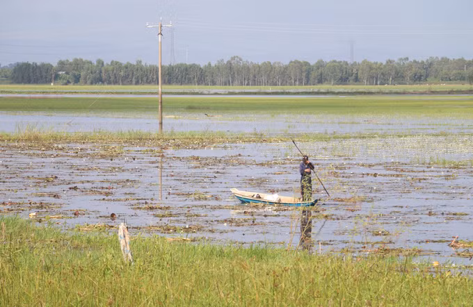 An Giang phấn đấu giảm tỷ lệ hộ nghèo dân tộc thiểu số từ 3-4%/năm ảnh 1