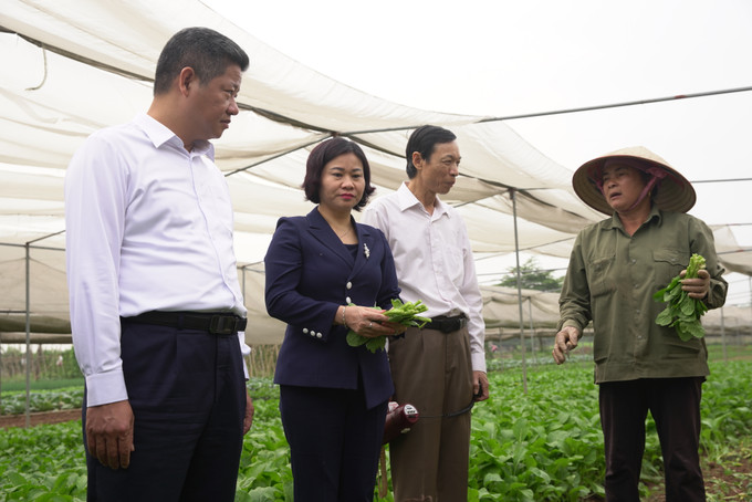 Ủy viên Trung ương Đảng, Phó Bí thư Thường trực Thành ủy Hà Nội Nguyễn Thị Tuyến (thứ hai, từ trái sang phải), Phó Chủ tịch Ủy ban Nhân dân thành phố Hà Nội Nguyễn Mạnh Quyền (thứ nhất, từ trái sang phải) cùng Đoàn công tác của thành phố Hà Nội đến thăm, kiểm tra sản xuất tại Hợp tác xã rau quả sạch Chúc Sơn ở thị trấn Chúc Sơn, huyện Chương Mỹ (Hà Nội). Hà Nội phấn đấu đến hết năm 2021 thu nhập người dân nông thôn đạt 60 triệu đồng/người/năm ảnh 8