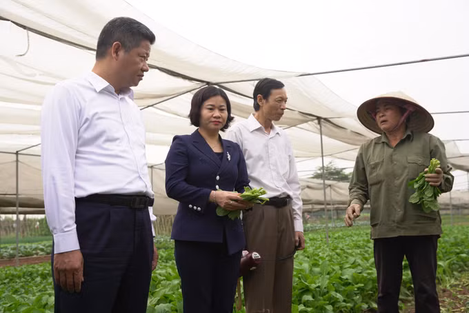 Hà Nội phấn đấu đến hết năm 2021 thu nhập người dân nông thôn đạt 60 triệu đồng/người/năm ảnh 8