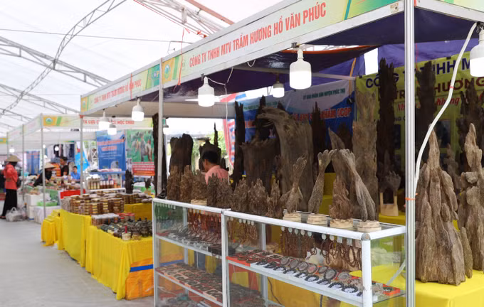 Hà Nội tổ chức Tuần hàng tư vấn giới thiệu sản phẩm OCOP Thủ đô năm 2022 ảnh 3