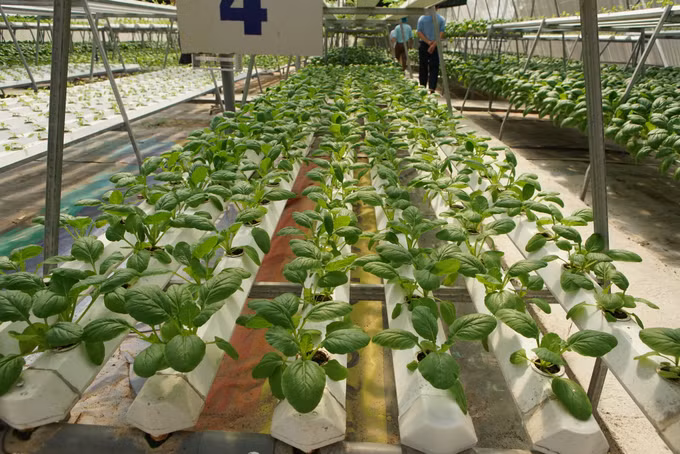 Hà Nội tập trung xây dựng nông thôn mới nâng cao ảnh 4