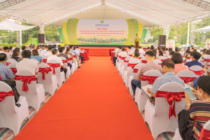 Hà Nội đẩy mạnh kết nối chuỗi nông sản an toàn ảnh 1