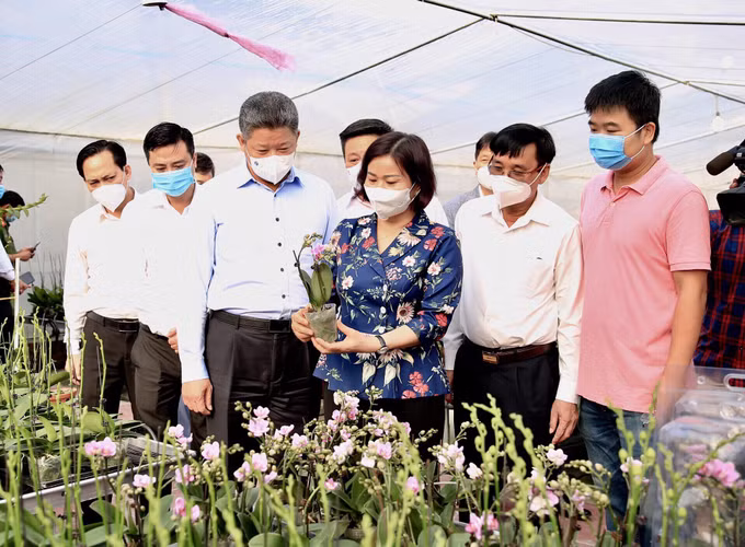 Hà Nội xây dựng nông thôn mới gắn với ứng dụng công nghệ cao trong sản xuất nông nghiệp ảnh 2