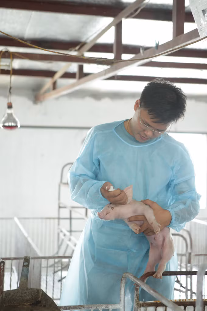 Sóc Sơn nỗ lực cán đích huyện nông thôn mới ảnh 3