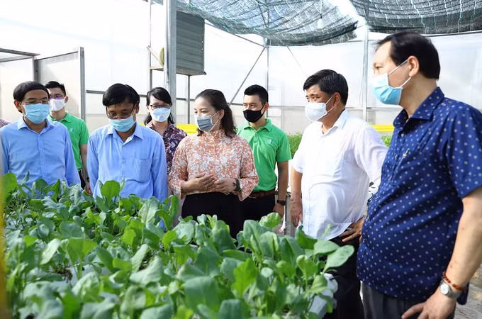Hanofarm đẩy mạnh tiêu thụ nông sản qua kênh bán hàng trực tuyến ảnh 2