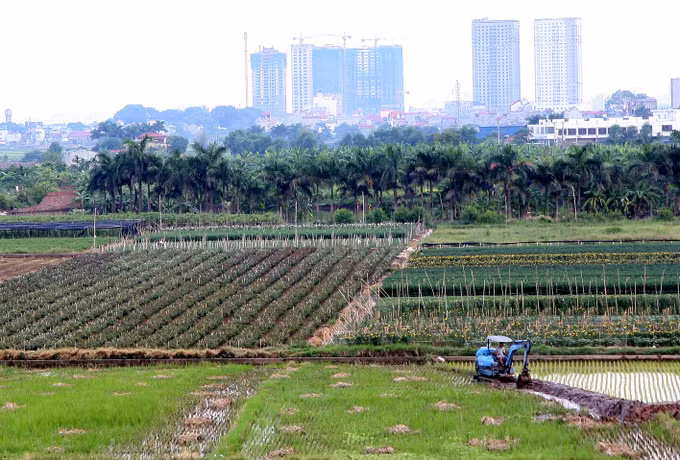 Đan Phượng hướng tới huyện nông thôn mới nâng cao đầu tiên của Hà Nội ảnh 1