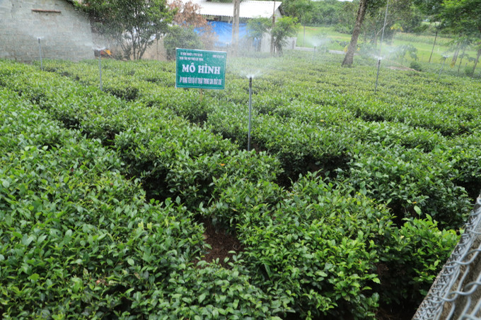 Ba Vì phát huy thế mạnh xây dựng nông thôn mới ảnh 5