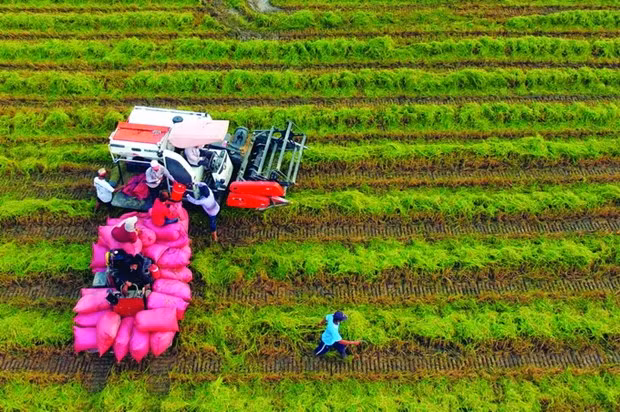 Trà Vinh nâng cao đời sống đồng bào Khmer, góp phần xây dựng nông thôn mới ảnh 1