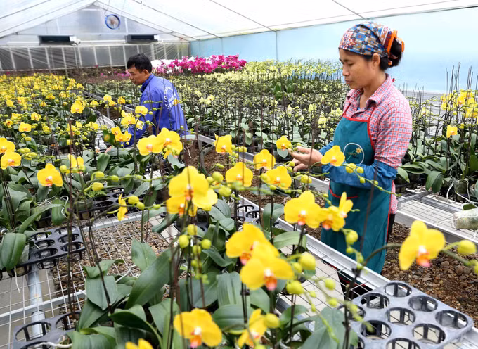Hà Nội xây dựng nông thôn mới gắn với ứng dụng công nghệ cao trong sản xuất nông nghiệp ảnh 5