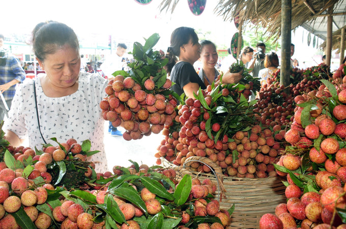 Sản phẩm nông nghiệp trên địa bàn Hà Nội rất phong phú, đáp ứng nhu cầu về chất lượng ngày càng cao của người tiêu dùng. Hà Nội hướng tới một nền nông nghiệp xanh ảnh 1