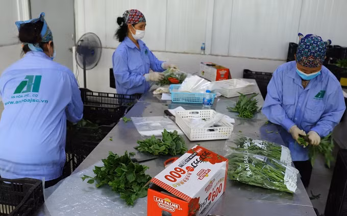 Hanofarm đẩy mạnh tiêu thụ nông sản qua kênh bán hàng trực tuyến ảnh 5