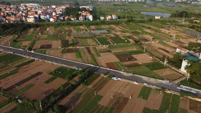 Hướng đi hiệu quả của các hợp tác xã nông nghiệp ở Hà Nội ảnh 7