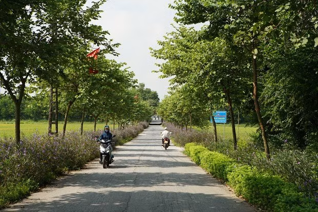 Hà Nội phát huy vai trò phụ nữ trong phát triển nông nghiệp công nghệ cao ảnh 1