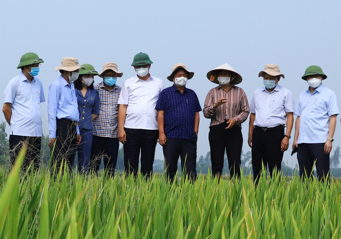 Bộ trưởng Bộ Nông nghiệp và Phát triển nông thôn Lê Minh Hoan (áo sọc xanh), Giám đốc Sở Nông nghiệp và Phát triển nông thôn Hà Nội Chu Phú Mỹ (thứ hai, từ bên trái) cùng Đoàn công tác kiểm tra việc thực hiện xây dựng nông thôn mới tại huyện Ứng Hòa (Hà Nội). Ảnh: Long Nguyễn Hà Nội nắm bắt nguyện vọng của người dân, phát huy vai trò làm chủ của nhân dân trong xây dựng nông thôn mới ảnh 2