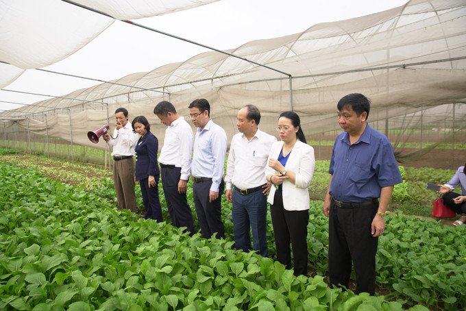 Phó Bí thư Thường trực Thành ủy Hà Nội Nguyễn Thị Tuyến (thứ hai, từ trái sang phải), Phó Chủ tịch Ủy ban Nhân dân thành phố Hà Nội Nguyễn Mạnh Quyền (thứ ba, từ trái sang phải) cùng Đoàn công tác của thành phố Hà Nội đến thăm, kiểm tra sản xuất tại Hợp tác xã rau quả sạch Chúc Sơn ở thị trấn Chúc Sơn, huyện Chương Mỹ (Hà Nội) đầu tháng 4/2021. Nông nghiệp Hà Nội nỗ lực vượt khó ảnh 2