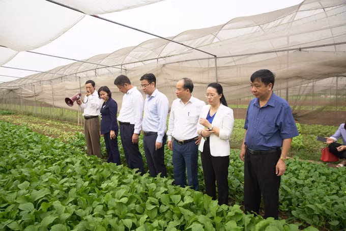 Nông nghiệp Hà Nội nỗ lực vượt khó ảnh 2