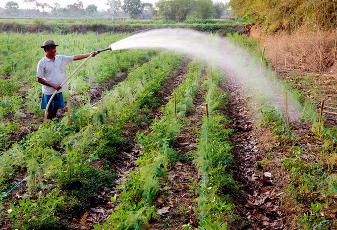 Giảm nghèo bền vững ở vùng đồng bào dân tộc Khmer ảnh 1