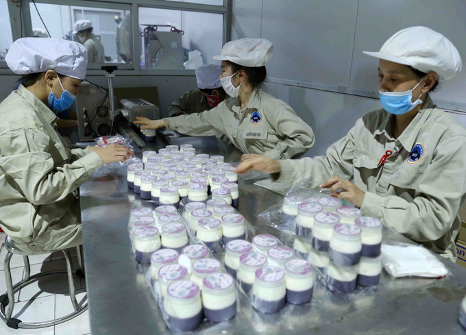 Ba Vì phát huy thế mạnh xây dựng nông thôn mới ảnh 11