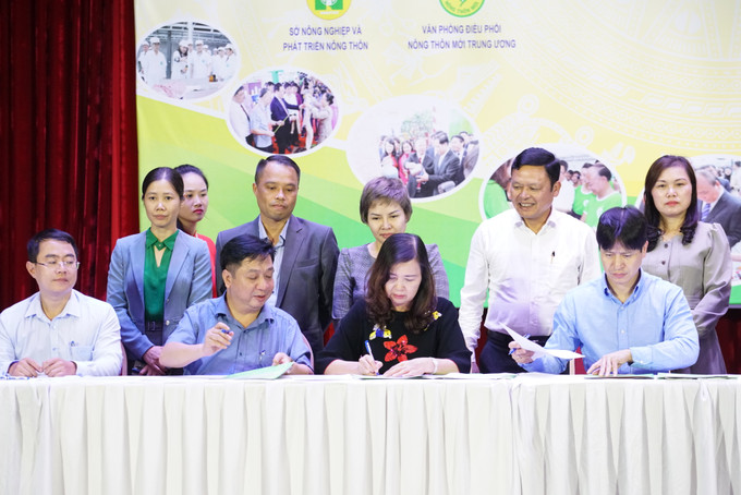 Tại hội thảo, Ban tổ chức đã tổ chức ký kết biên bản ghi nhớ, hợp tác giữa các chủ thể tham gia sự kiện với các đơn vị, tổ chức, cá nhân tiêu thụ sản phẩm. Hà Nội kết nối giao thương, tiêu thụ sản phẩm OCOP các tỉnh Đồng bằng sông Hồng ảnh 3
