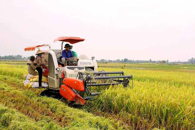 Đến nay, cơ giới hóa trong khâu làm đất của Hà Nội đạt 100% diện tích đất nông nghiệp và diện tích lúa được thu hoạch bằng máy đạt 90%. Hà Nội nâng cao hiệu quả sản xuất từ ứng dụng cơ giới hóa ảnh 1