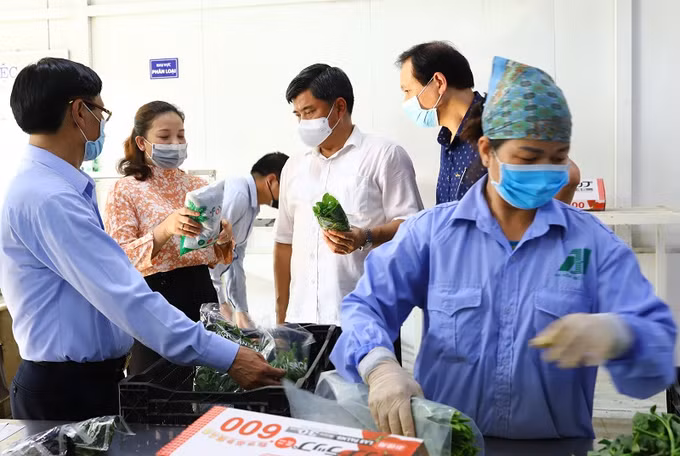Hanofarm đẩy mạnh tiêu thụ nông sản qua kênh bán hàng trực tuyến ảnh 6