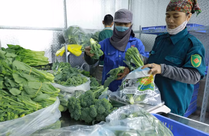 Hướng đi hiệu quả của các hợp tác xã nông nghiệp ở Hà Nội ảnh 5