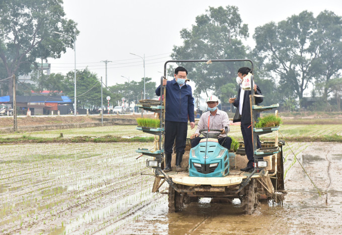 Bí thư Thành ủy Hà Nội Vương Đình Huệ và Giám đốc Sở Nông nghiệp và Phát triển nông thôn Hà Nội Chu Phú Mỹ đã trực tiếp đứng máy cấy, tham gia những đường cấy vụ Xuân trên thửa ruộng rộng lớn là thành quả của công tác dồn điền đổi thửa, xây dựng nông thôn mới trên địa bàn xã Dị Nậu. Ảnh: Văn Điệp Lãnh đạo thành phố Hà Nội xuống đồng cấy lúa ảnh 3