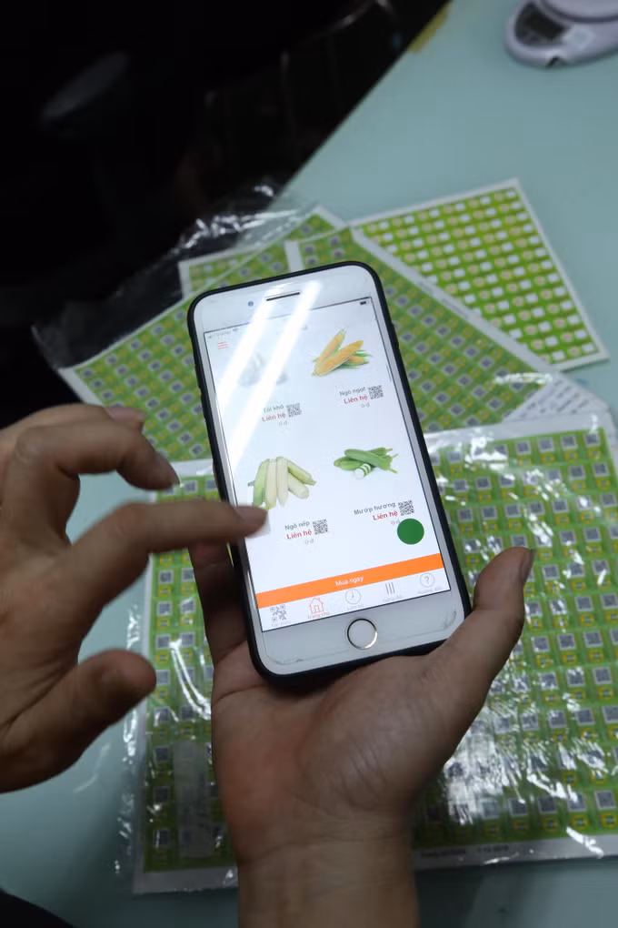 Hà Nội thúc đẩy truy xuất nguồn gốc nông sản ảnh 9