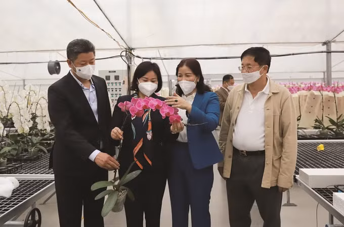 Đan Phượng xây dựng huyện đạt chuẩn nông thôn mới kiểu mẫu vào năm 2023 ảnh 6