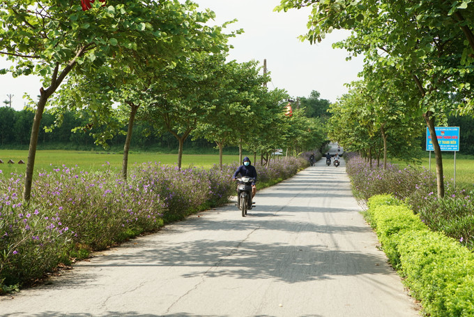 Huyện Sóc Sơn xây dựng các tuyến đường tự quản xanh - sạch - đẹp - nở hoa kiểu mẫu trên địa bàn. Hà Nội xây dựng nông thôn mới văn minh, hiện đại ảnh 15