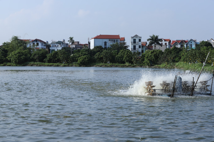 Sáu tháng đầu năm 2021, sản lượng thủy sản của Hà Nội đạt 53,59 nghìn tấn, bằng 102,96% so với cùng kỳ năm trước. Nông nghiệp Hà Nội nỗ lực vượt khó ảnh 4