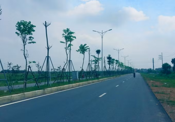 Mê Linh sau 10 năm xây dựng nông thôn mới ảnh 3