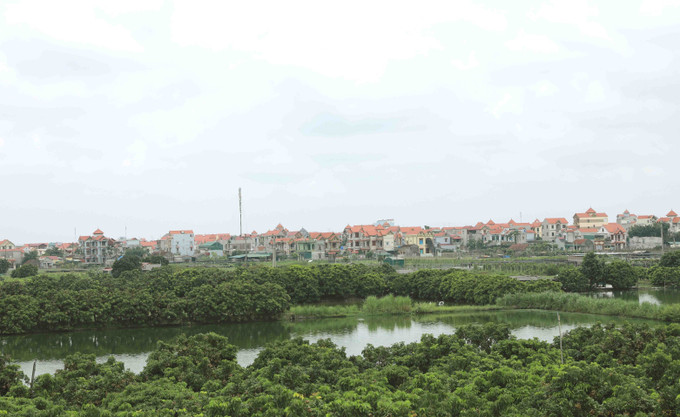 Diện mạo nông thôn xanh - sạch - đẹp ở huyện Thường Tín (Hà Nội). Nông thôn Hà Nội khởi sắc từ xây dựng nông thôn mới ảnh 3