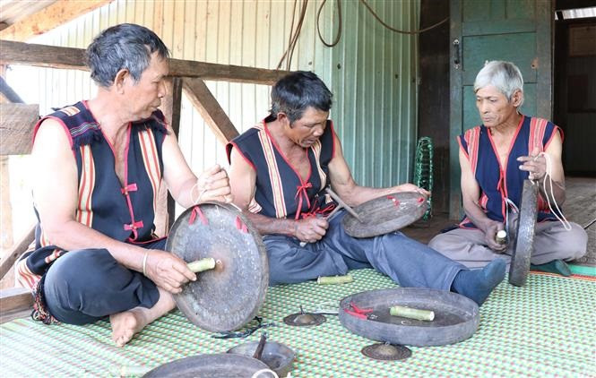 Các nghệ nhân chỉnh chiêng tại làng Mrông Yố 1, xã Ia Ka, huyện Chư Păh (Gia Lai). Ảnh: Hồng Điệp - TTXVN Lưu giữ âm thanh cồng chiêng Tây Nguyên ảnh 1