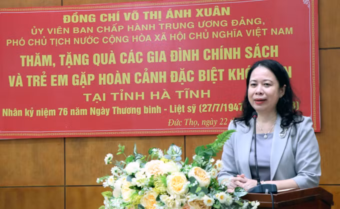Phó Chủ tịch nước Võ Thị Ánh Xuân thăm, tặng quà gia đình chính sách tại Hà Tĩnh ảnh 1