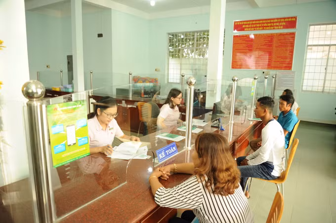 Hợp tác xã đồng hành cùng nông dân Khmer ở huyện Cầu Ngang ảnh 4
