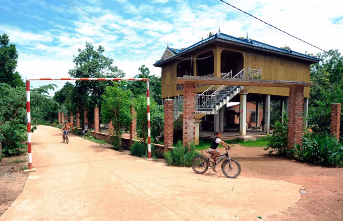 Khởi sắc vùng biên Tây Ninh ảnh 12