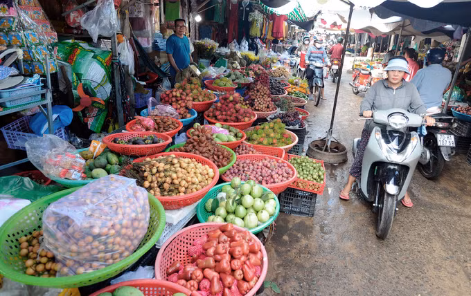 Khởi sắc vùng biên Tây Ninh ảnh 1