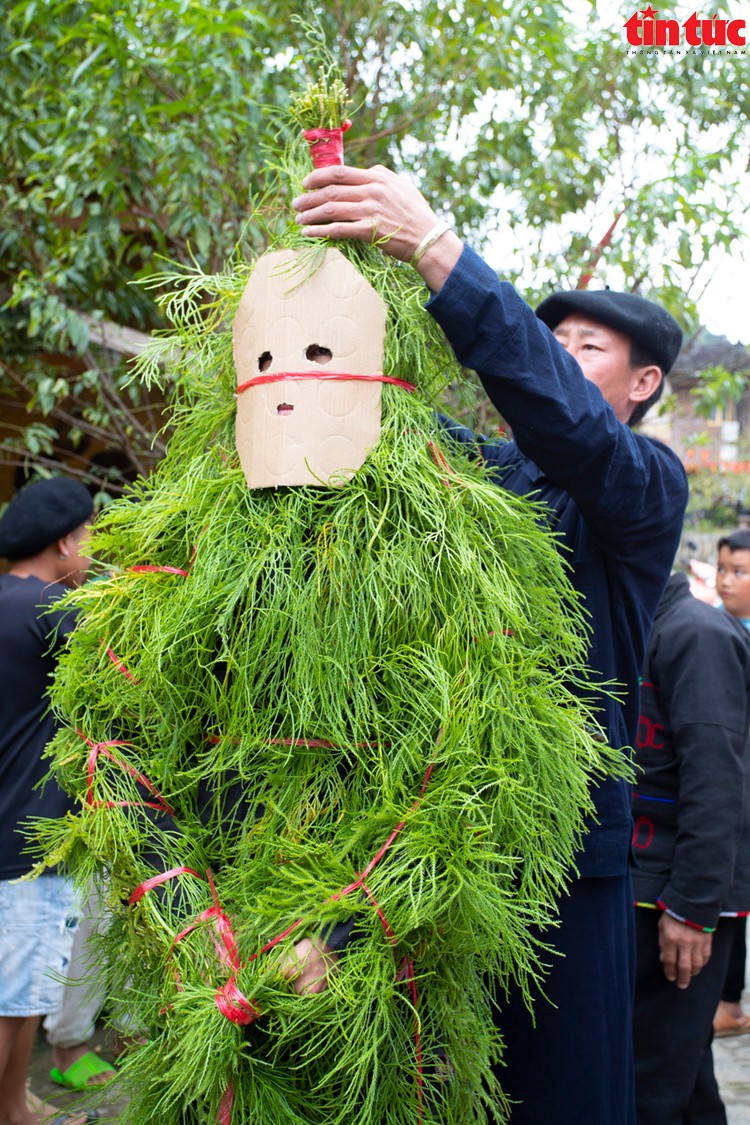 Các bộ trang phục “Ma cỏ” thường được bện, kết ngay trước hôm diễn ra nghi lễ. Cỏ được chọn thường phải xanh non, cho nên bộ trang phục có màu xanh tươi rất đẹp. pt-7516.jpg
