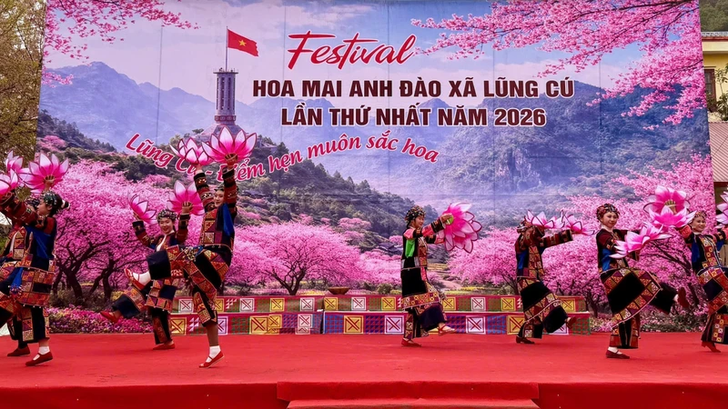 Khai mạc Festival hoa mai anh đào xã Lũng Cú