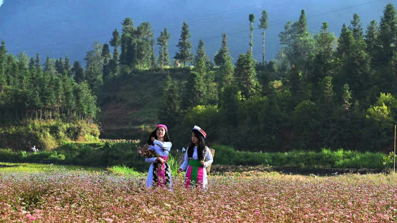 Mùa hoa đánh thức bước chân về miền cực Bắc Tổ quốc