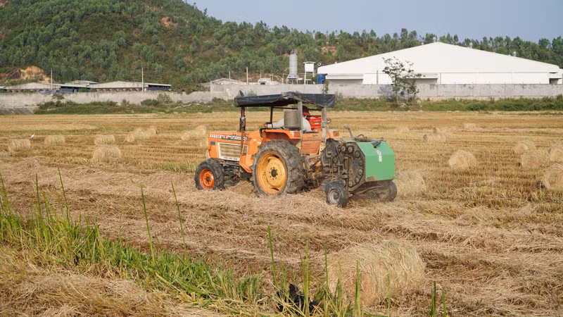 Lợi ích từ việc tận dụng rơm rạ sau thu hoạch