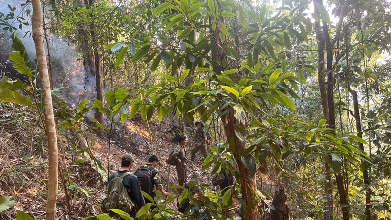 Dập tắt hoàn toàn vụ cháy rừng tại Sơn La sau 1 ngày