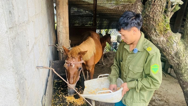 Hạn chế thấp nhất thiệt hại do rét đậm, rét hại gây ra với cây trồng, vật nuôi