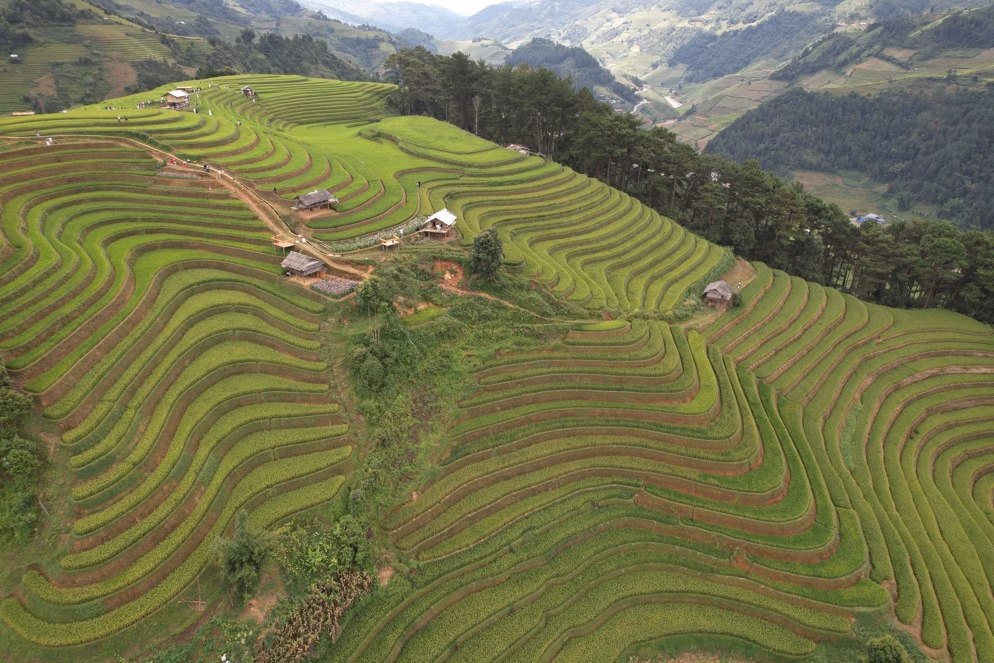 Thời điểm này, Mù Cang Chải trở thành điểm hẹn của những nhiếp ảnh gia và du khách yêu thích khám phá. Mỗi góc nhìn, mỗi thời khắc trong ngày lại mang đến một vẻ đẹp khác nhau. Ảnh: Tuấn Anh/TTXVN